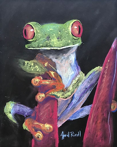 Green Tree Frog
