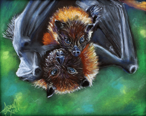 Mama Bat and Baby