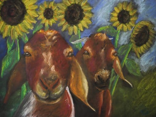 Sunflower Goats